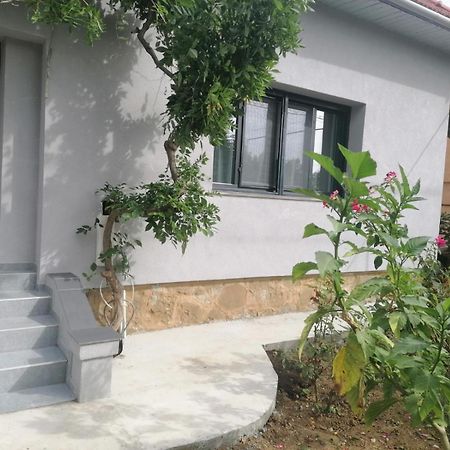 Villa Casa Cu Trandafiri Baia Mare Zimmer foto